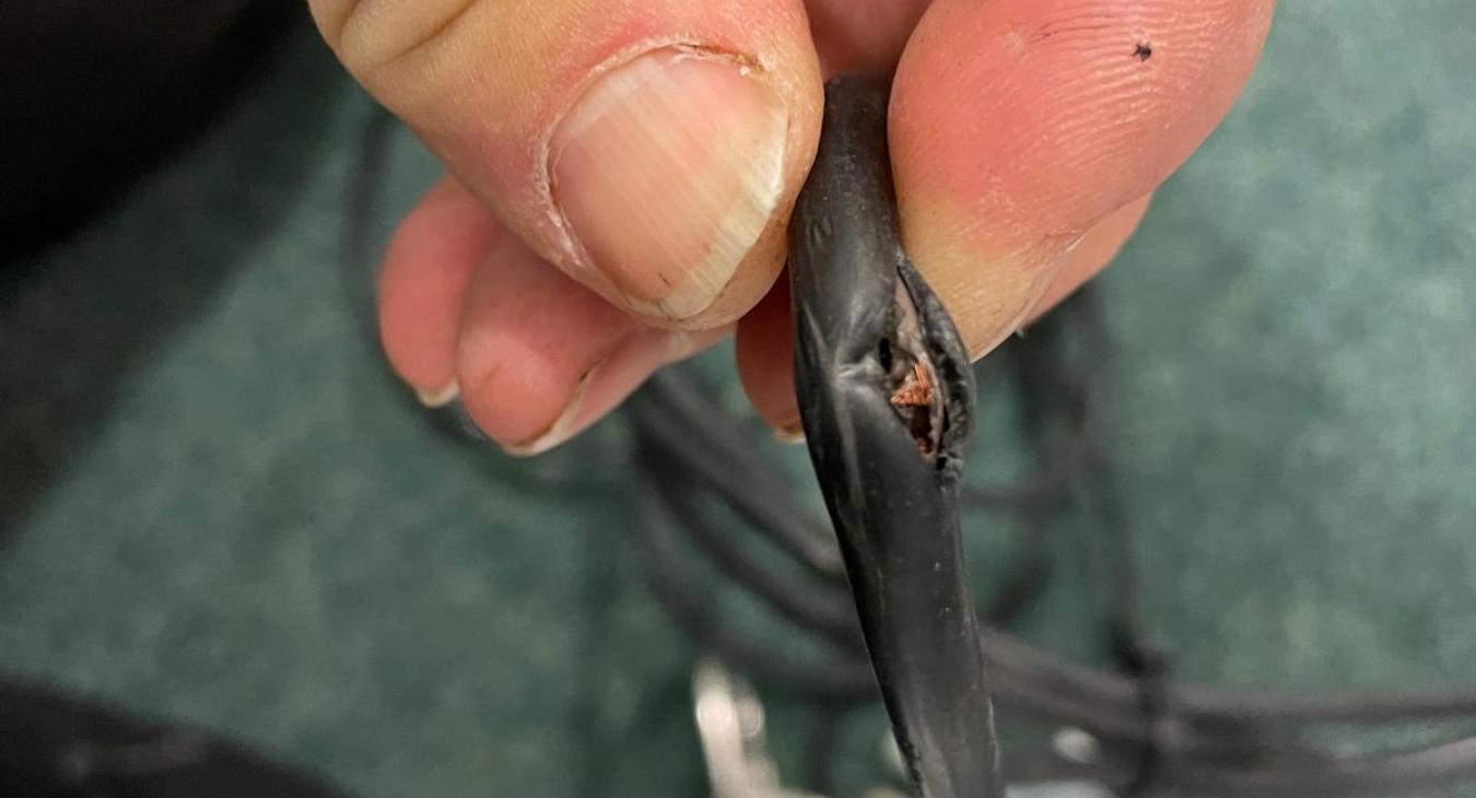 PAT Testing in Loughton
